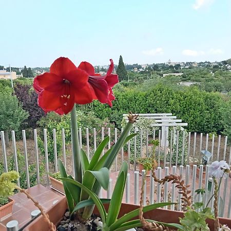 카스텔라나그로테 Casa Mastronardi B&B 외부 사진